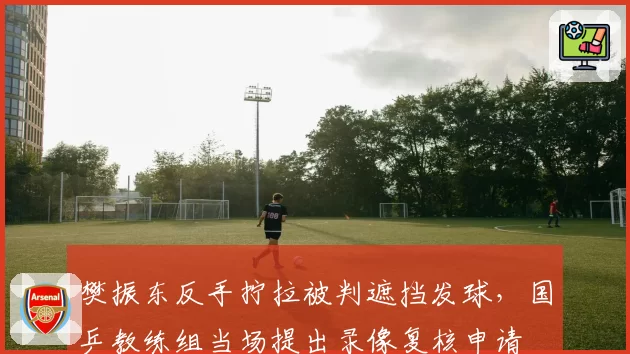 樊振东反手拧拉被判遮挡发球，国乒教练组当场提出录像复核申请