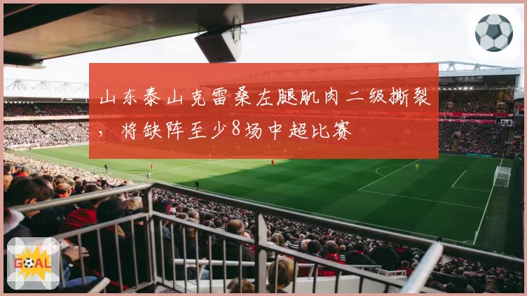 山东泰山克雷桑左腿肌肉二级撕裂，将缺阵至少8场中超比赛