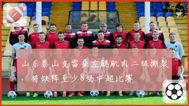 山东泰山克雷桑左腿肌肉二级撕裂，将缺阵至少8场中超比赛